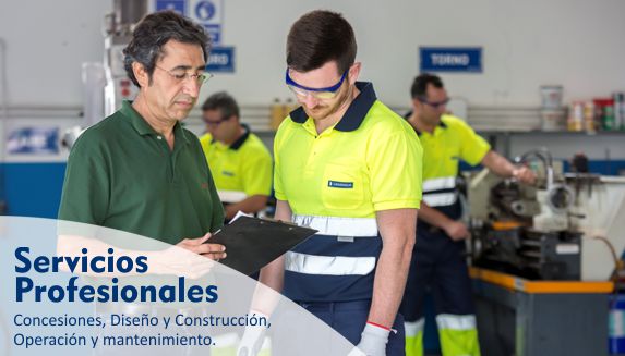 Acceso Servicios Profesionales. Se abre en ventana nueva